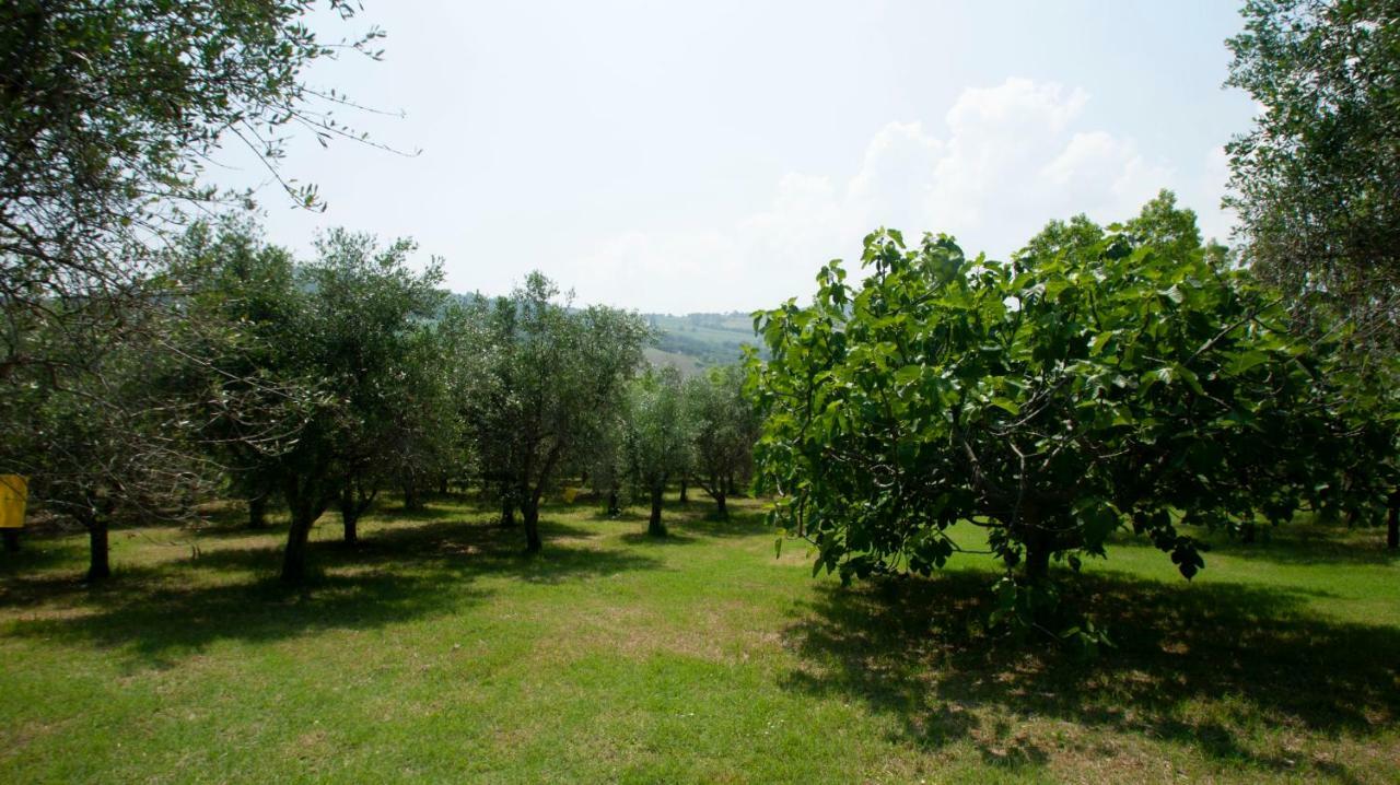 Villa Gadry Tavullia Zewnętrze zdjęcie