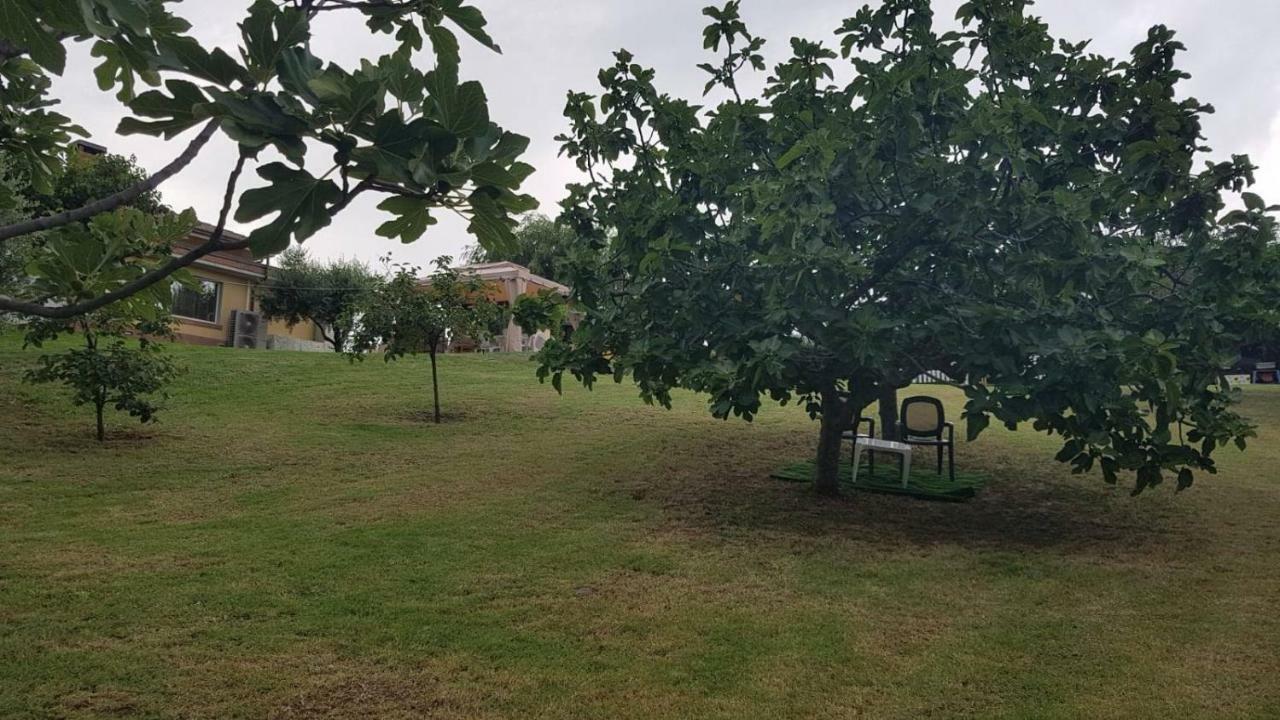 Villa Gadry Tavullia Zewnętrze zdjęcie