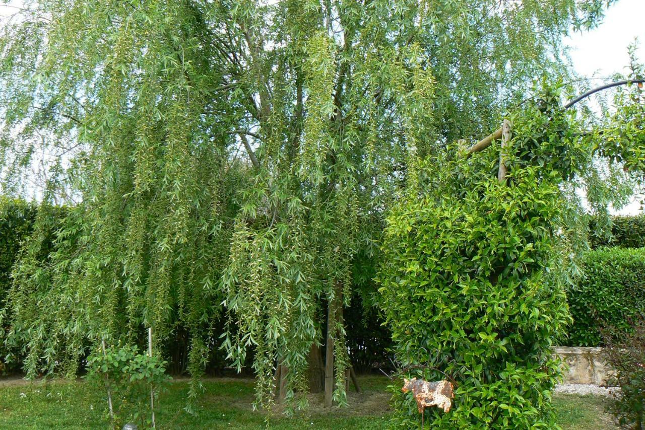 Villa Gadry Tavullia Zewnętrze zdjęcie